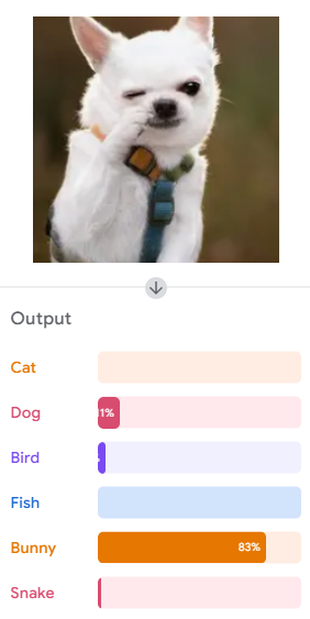 Screenshot of mistake in training the model in Teachable Machine